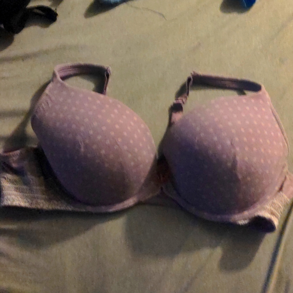 Cacique plunge bra 44b